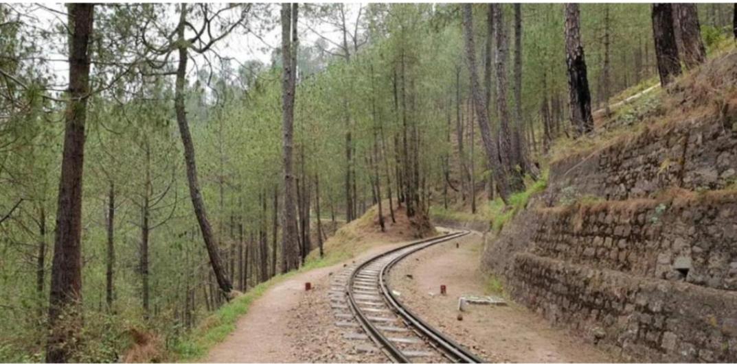 Mountain Mist Inn I Serviced Apt I Open Air Lawn & Rooftop I Bonfire I By Exotic Stays Kasauli Exterior photo